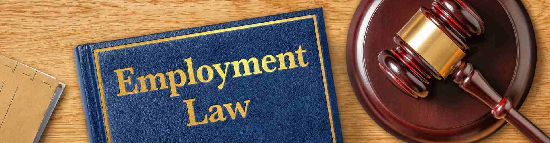 Employment law book and judge's gavel on a desk