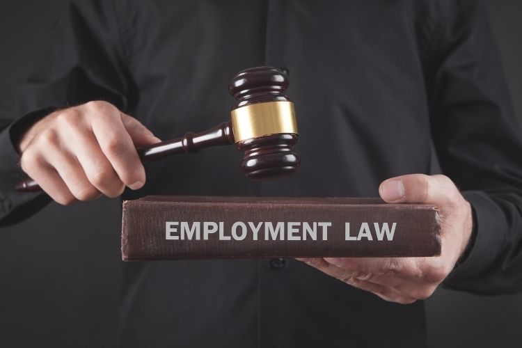 Judge's gavel poised over a book labeled EMPLOYMENT LAW, symbolizing employment law investigations