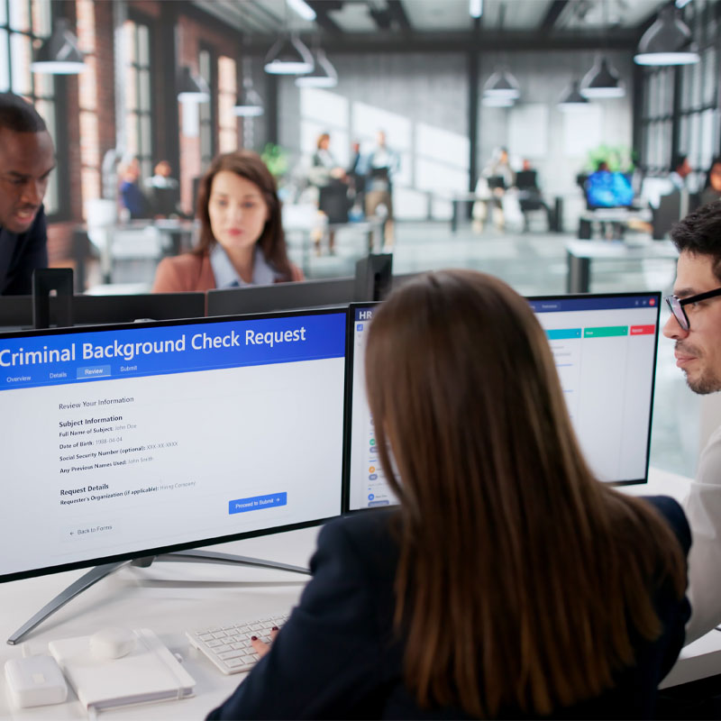 Professionals reviewing a criminal background check as part of a civil litigation due diligence investigation